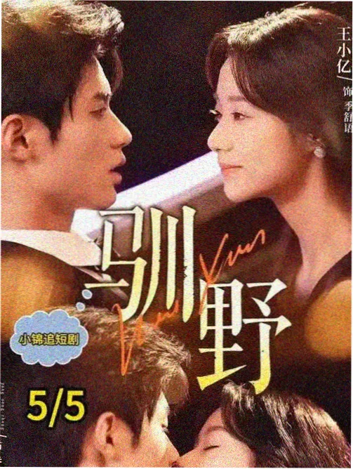深夜电台的亲密距离封面